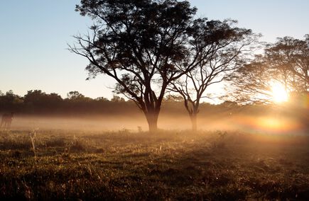 Mejores Gastronomías y Hostelerías en Chaco