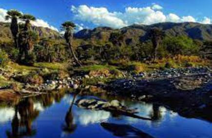 Mejores Gastronomías y Hostelerías en San Luis