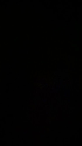 Opinii despre Junior Pizzeria în La Plata - Gastronomía y hostelería