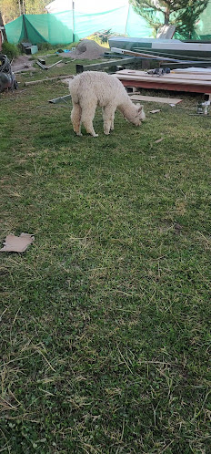 Opinii despre Lupita Lodge în Santiago del Estero - Gastronomía y hostelería