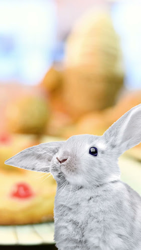 C. 64 322, B1900 La Plata, Provincia de Buenos Aires