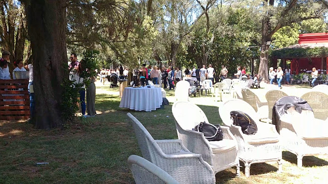 RODIZIO Campo Luján - CWS