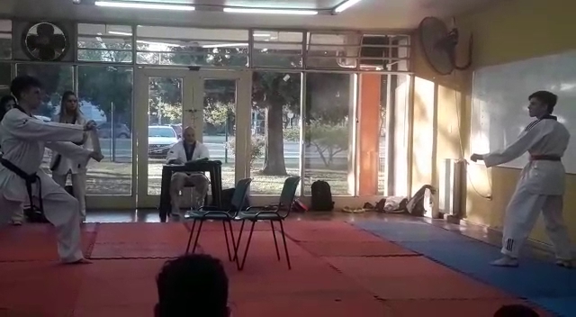 RANDOM Bar - Gastronomía y hostelería