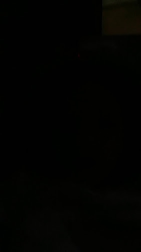 Opinii despre Empanadas Arabes Rio Gallegos în Río Gallegos - Gastronomía y hostelería