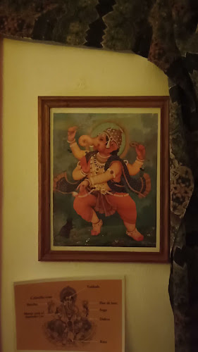 Elefante Bengal •ꜱᴀʙᴏʀᴇꜱ ᴅᴇ ʟᴀ ɪɴᴅɪᴀ• - BOF