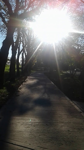 Opinii despre Panadería y Confitería 'Matheu' în Matheu - Gastronomía y hostelería