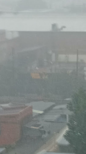 Opinii despre Fabrica De Pizzas în San Salvador de Jujuy - Gastronomía y hostelería