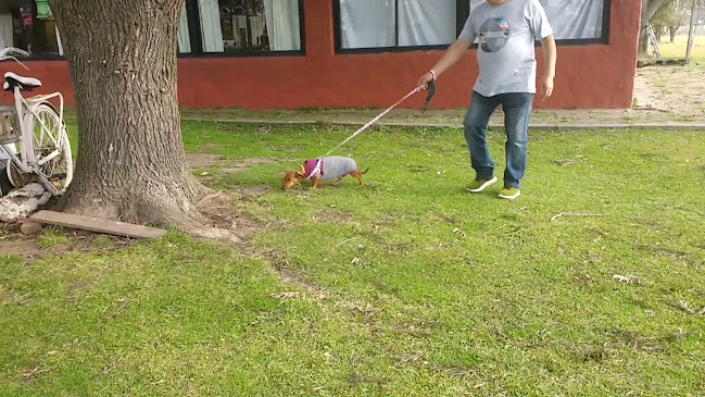 Av. Eva Perón 10815, Florencio Varela, Provincia de Buenos Aires