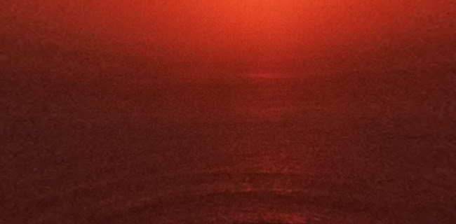 Buenavista Café. - Gastronomía y hostelería