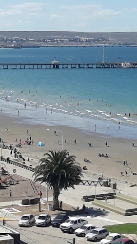 Pizzeria - Delivery de Pizzas - Lizard Cafe - Gastronomía y hostelería