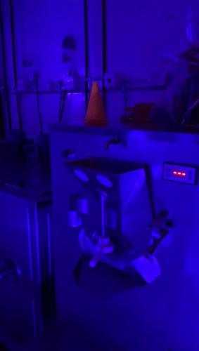 Comentarii opinii despre UMPA LUMPA