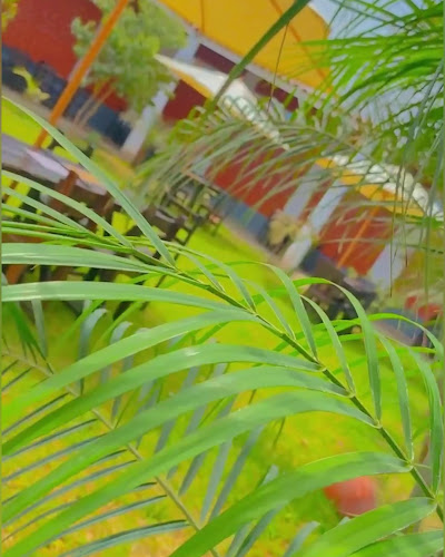 Opinii despre Restaurante Campestre Sonia Morales în Mar del Plata - Gastronomía y hostelería