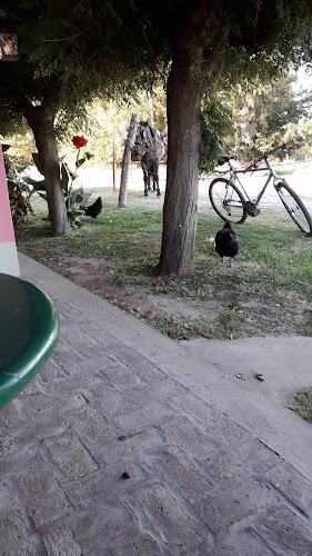 Lasala Almacen De Campo