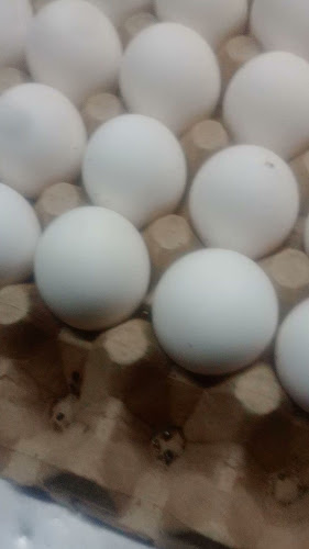 Comentarii opinii despre Mecenas. La casa de la familia Espiria