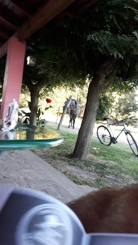 Lasala Almacen De Campo