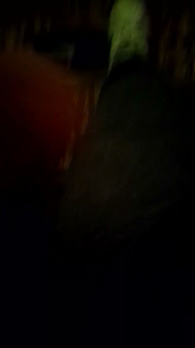 Restaurante La Gaviota - Gastronomía y hostelería