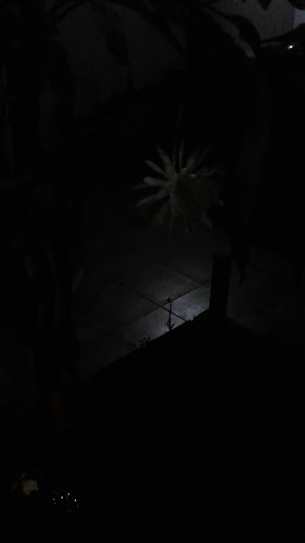 Opinii despre Panaderia Velez Sarfield în Gerli - Gastronomía y hostelería