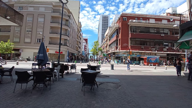 Comentarii opinii despre Picante