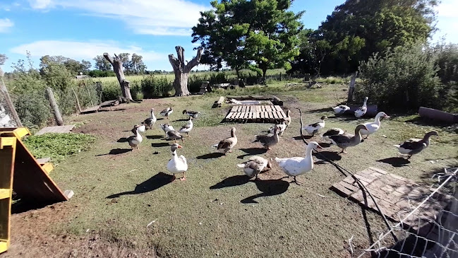 Pampa Simplemente Campo - Gastronomía y hostelería