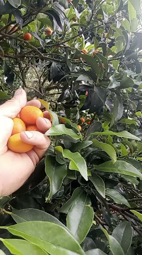 Cabaña El Arranque Gualeguaychú