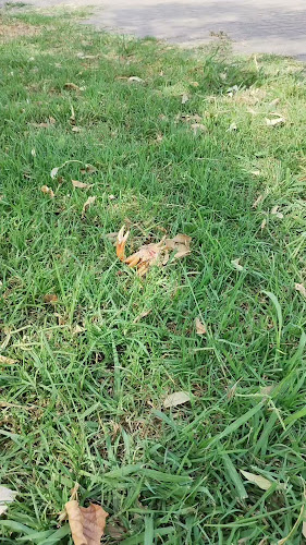 Opinii despre Cielo Pub în Campana - Gastronomía y hostelería