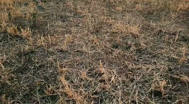 Casa Tomada - Gastronomía y hostelería