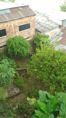 Papas Locas - San Miguel de Tucumán