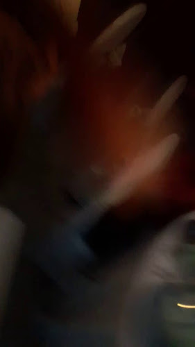 Av. Enrique Santamarina 471, B1842AFR Monte Grande, Provincia de Buenos Aires