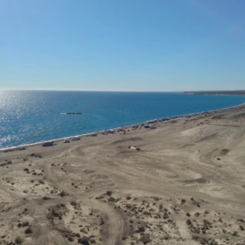 Comentarii opinii despre Pizzeria - Delivery de Pizzas - Lizard Cafe