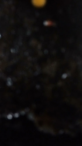 El Toro Burgers - Santa Fe de la Vera Cruz