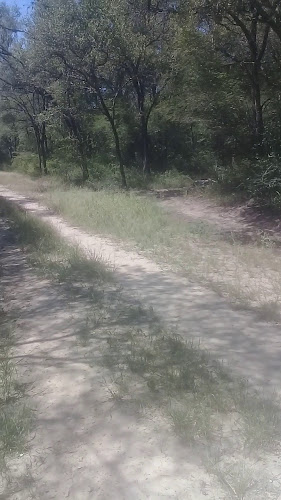 Opinii despre Panaderia Don Gabriel în Mayor Villafañe - Gastronomía y hostelería