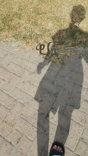 Comentarii opinii despre Cielo Pub