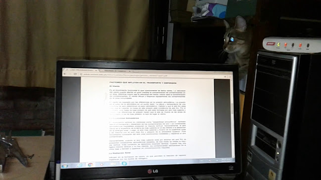 Don Orione Local 1, Sánchez Sur, H3700 Sáenz Peña, Chaco