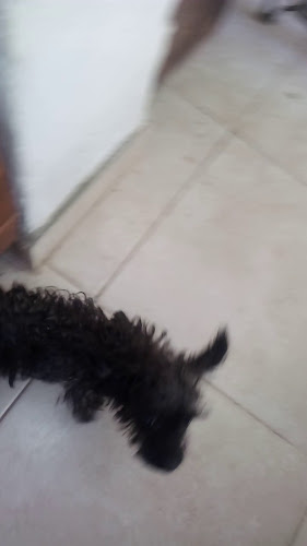 Malu Resto Bar - Gastronomía y hostelería