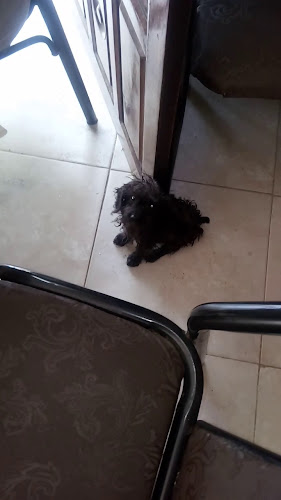 Opinii despre Malu Resto Bar în Santiago del Estero - Gastronomía y hostelería