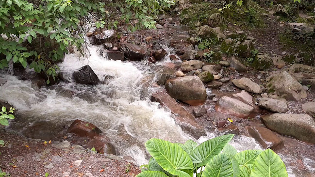 El Duende de la Quebrada - Gastronomía y hostelería