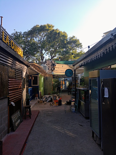 Comentarii opinii despre Raw Alimento