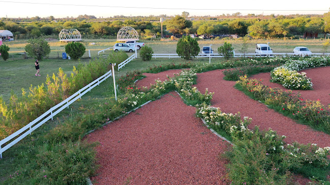 Flora- Vivero y Casa de Té