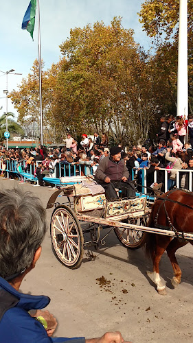 San Vicente Buenos Aires AR, Av. Rivadavia 69, B1865 JLN
