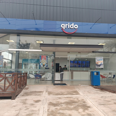 Grido helado