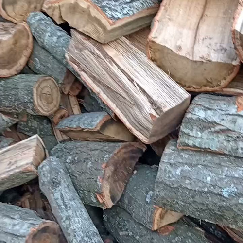 Av. Sgto. Cayetano Beliera 4335, B1669 La Lonja, Provincia de Buenos Aires