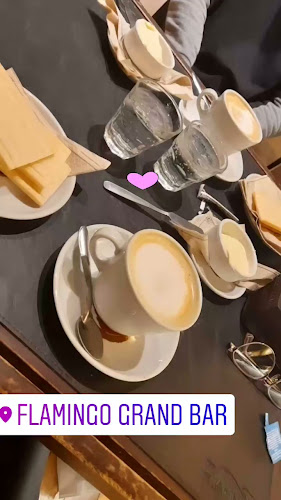 Comentarii opinii despre Flamingo