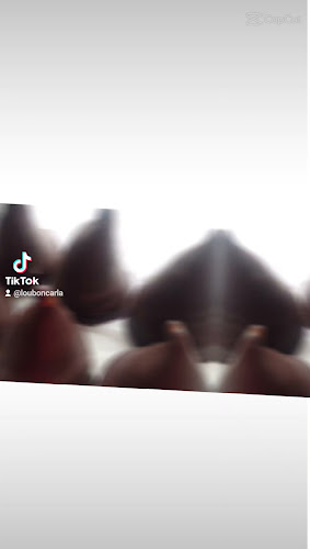 Opinii despre Alfajores artesanales "Los alfajores de Carla" în Puerto Madryn - Gastronomía y hostelería