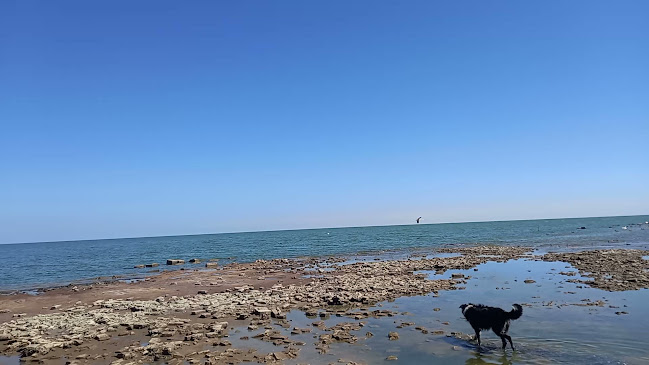 Argentina - Gastronomía y hostelería