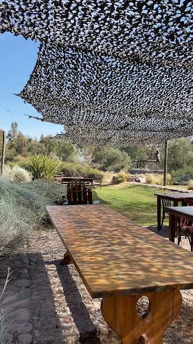 Pan y Oliva de Zuelo.