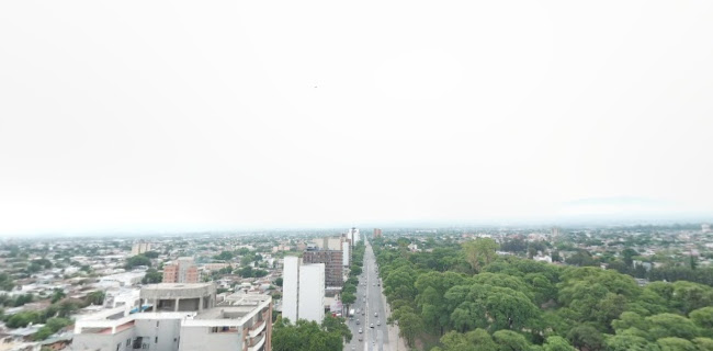 Blue Bell - Mate de Luna