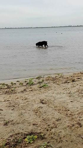 Carlos Agustin Chiquito Ulerich 050, Cardenal Fasolino 202, S3000 Santa Fe de la Vera Cruz, Santa Fe