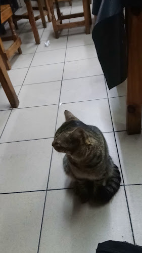 Pancho Crazy - La Plata