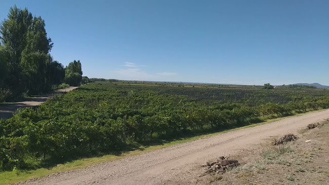 Opinii despre Algodon Wine Estates în Mendoza - Gastronomía y hostelería