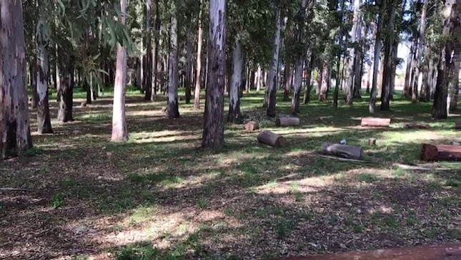 Opinii despre Estación Growler în San Nicolás de Los Arroyos - Gastronomía y hostelería